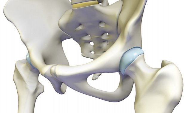 ACL Reconstruction