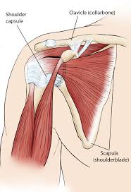 ACL Reconstruction