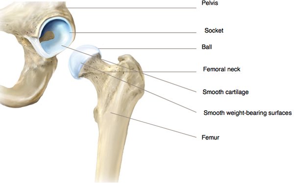 ACL Reconstruction