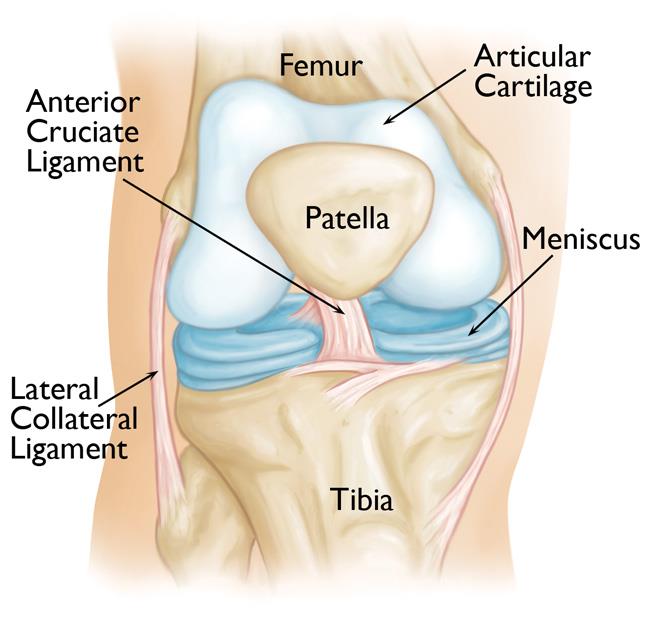 ACL Reconstruction